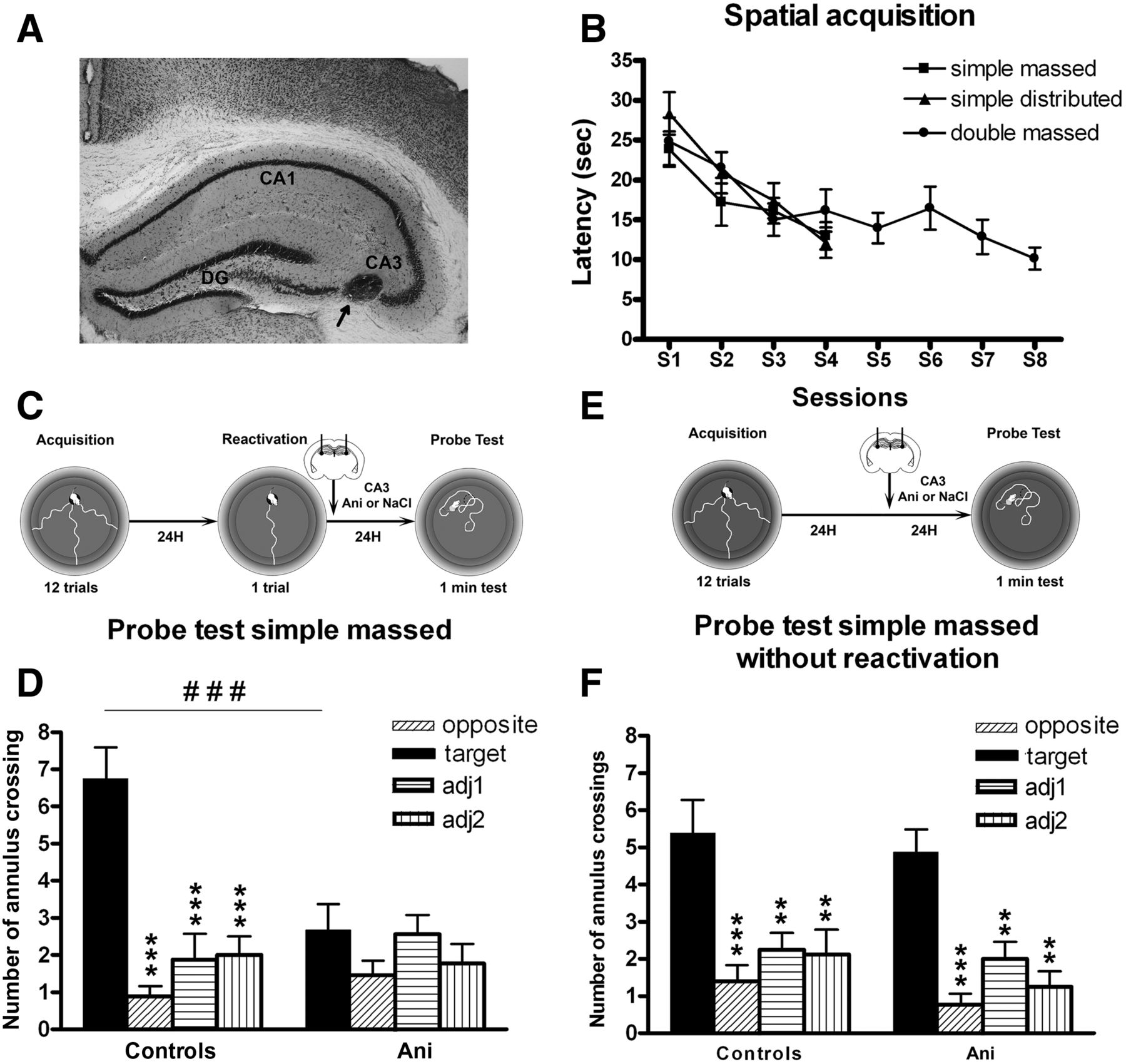 Characterization of spatial memory reconsolidation