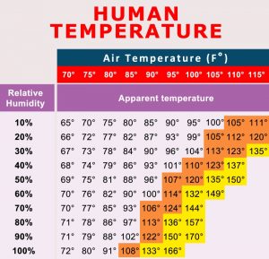 How Does Humidity Affect Temperature? (+ Temp-Humidity Chart)