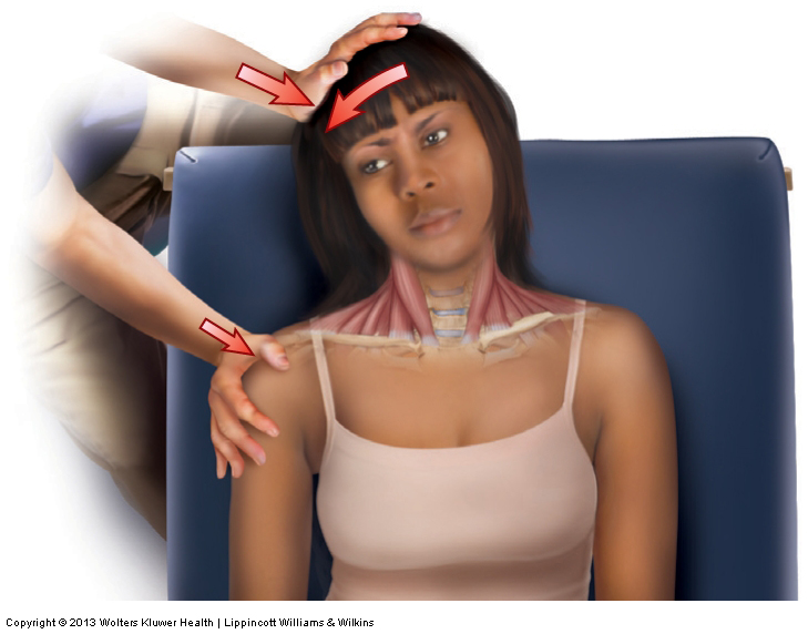 ROM Assessment and Manual Resistance Assessment