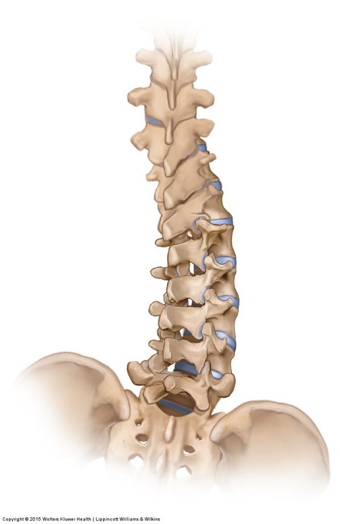 Scoliosis Postural Distortion Pattern of the Spine
