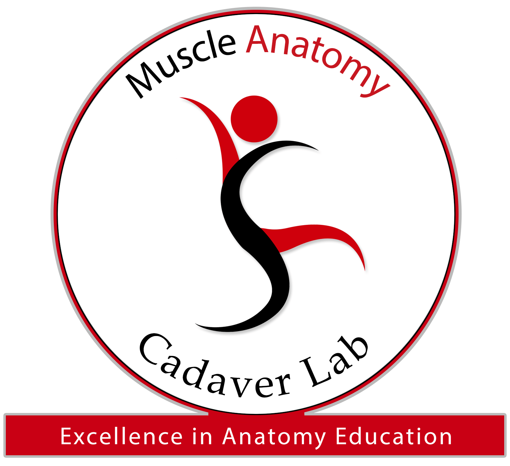 Cadaver Lab Learn Muscles