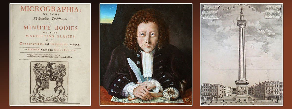 Robert Hooke | 10 Facts About The English Scientist | Learnodo Newtonic