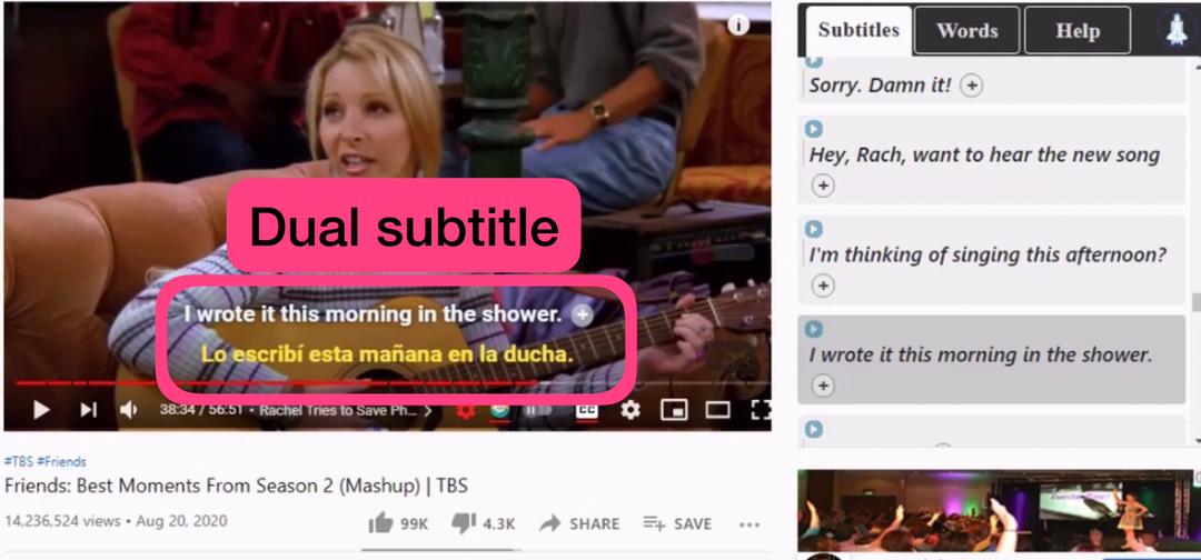 How To Learn The Easiest Languages With The Netflix Extension