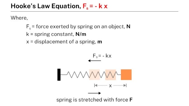 Hooke’s Law Equation Problems (And Solutions) Learnool