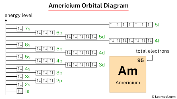 Americium Bohr model - Learnool