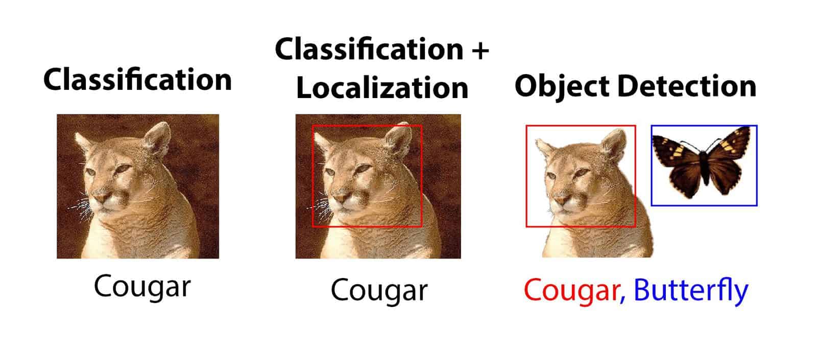 Classification with Localization Convert any Keras Classifier to a