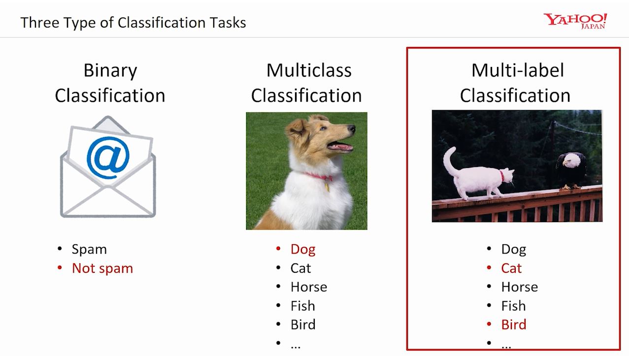 Medical Multilabel Classification With PyTorch & Lightning