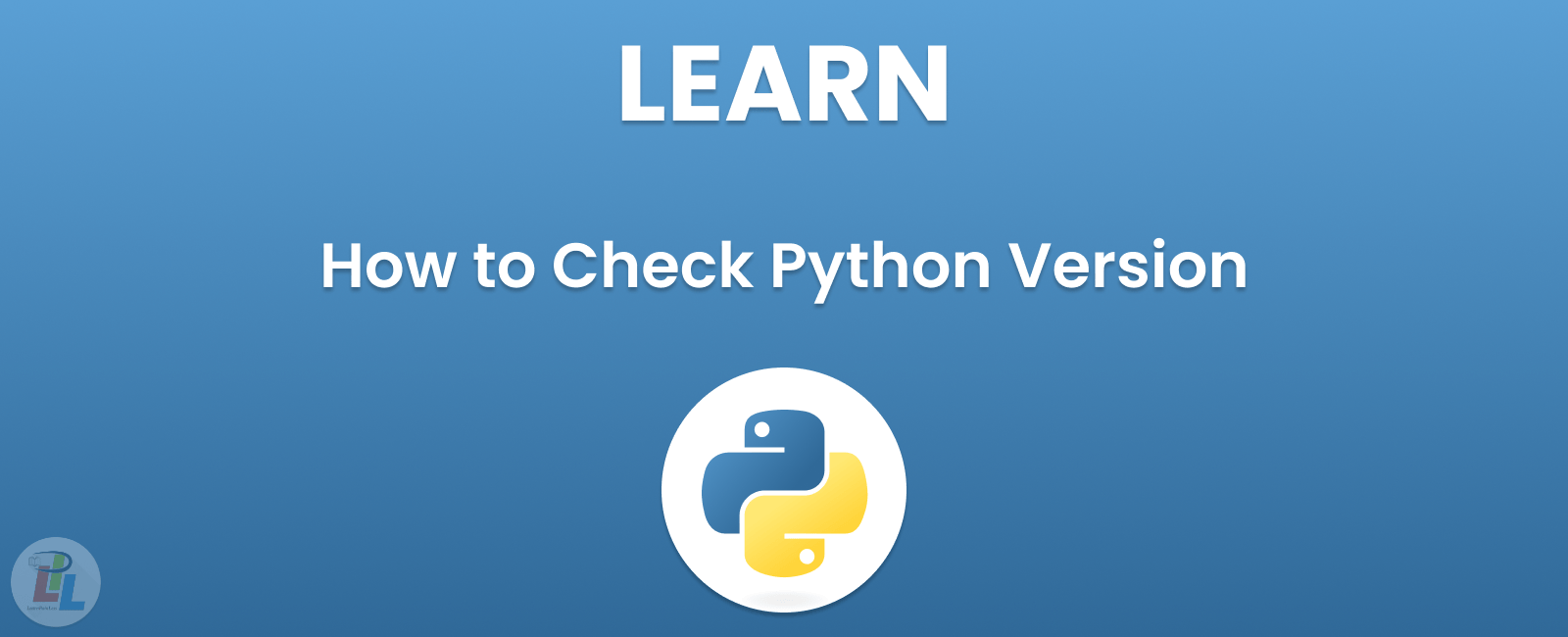 How to Check Python Version A Comprehensive Guide Learn Pain Less