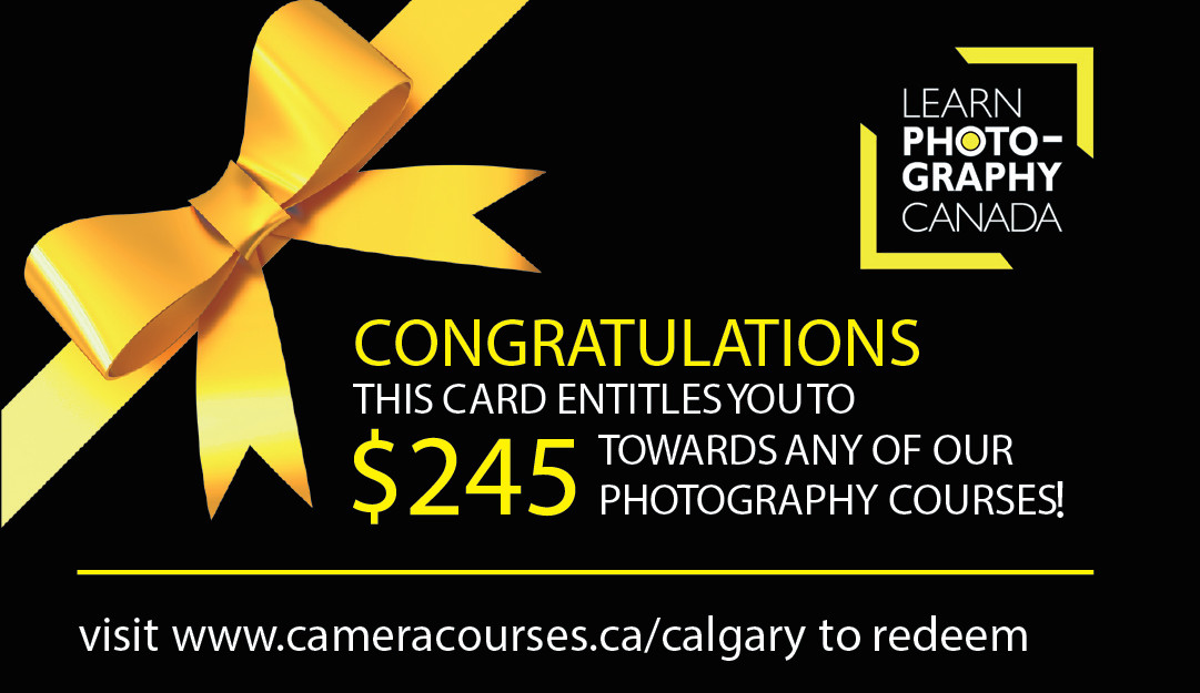 certificate Learn Photography Canada