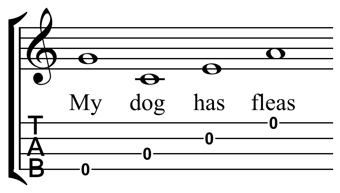 First steps Learn the basics Learn To Play the Ukulele