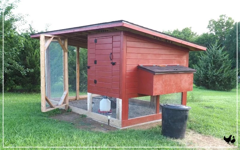 What is Chicken Coop? The Ultimate Guide LearnPoultry