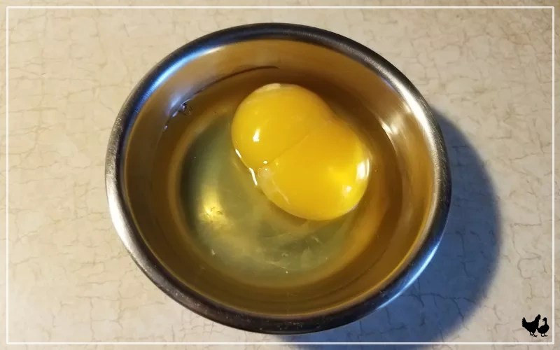 DoubleYolk Eggs What Causes DoubleYolk Eggs? LearnPoultry