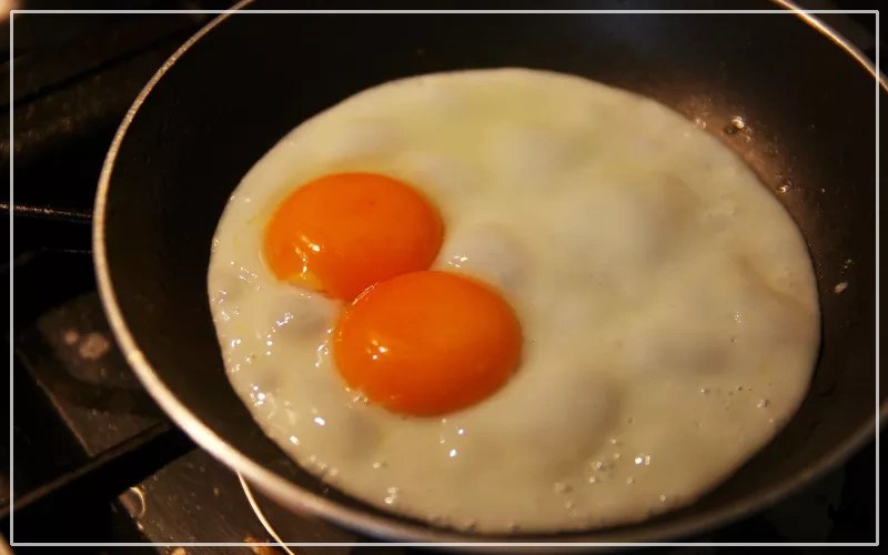 DoubleYolk Eggs What Causes DoubleYolk Eggs? LearnPoultry