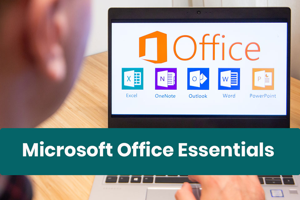 Microsoft 365 Office Essentials Training
