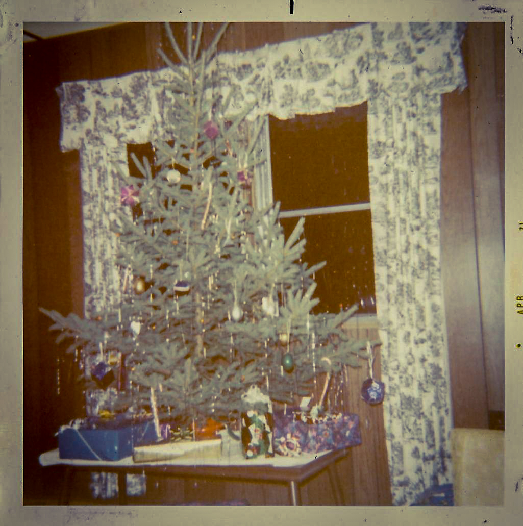 first Christmas tree together Learn To Be Wise