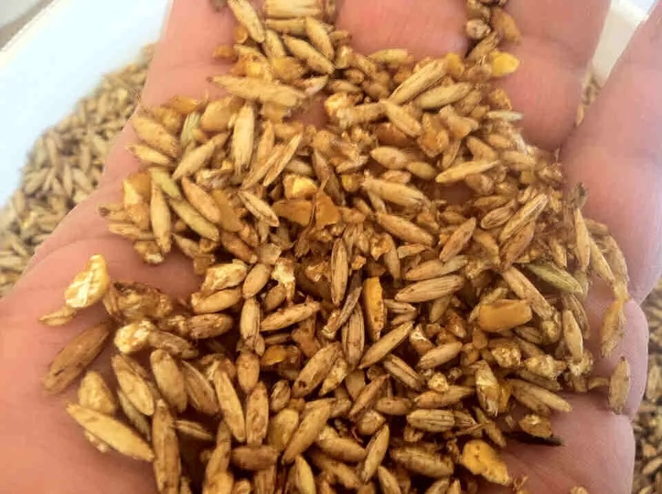 Grand Pappy’s 4Grain Liquor Recipe Everyone Will Love This One