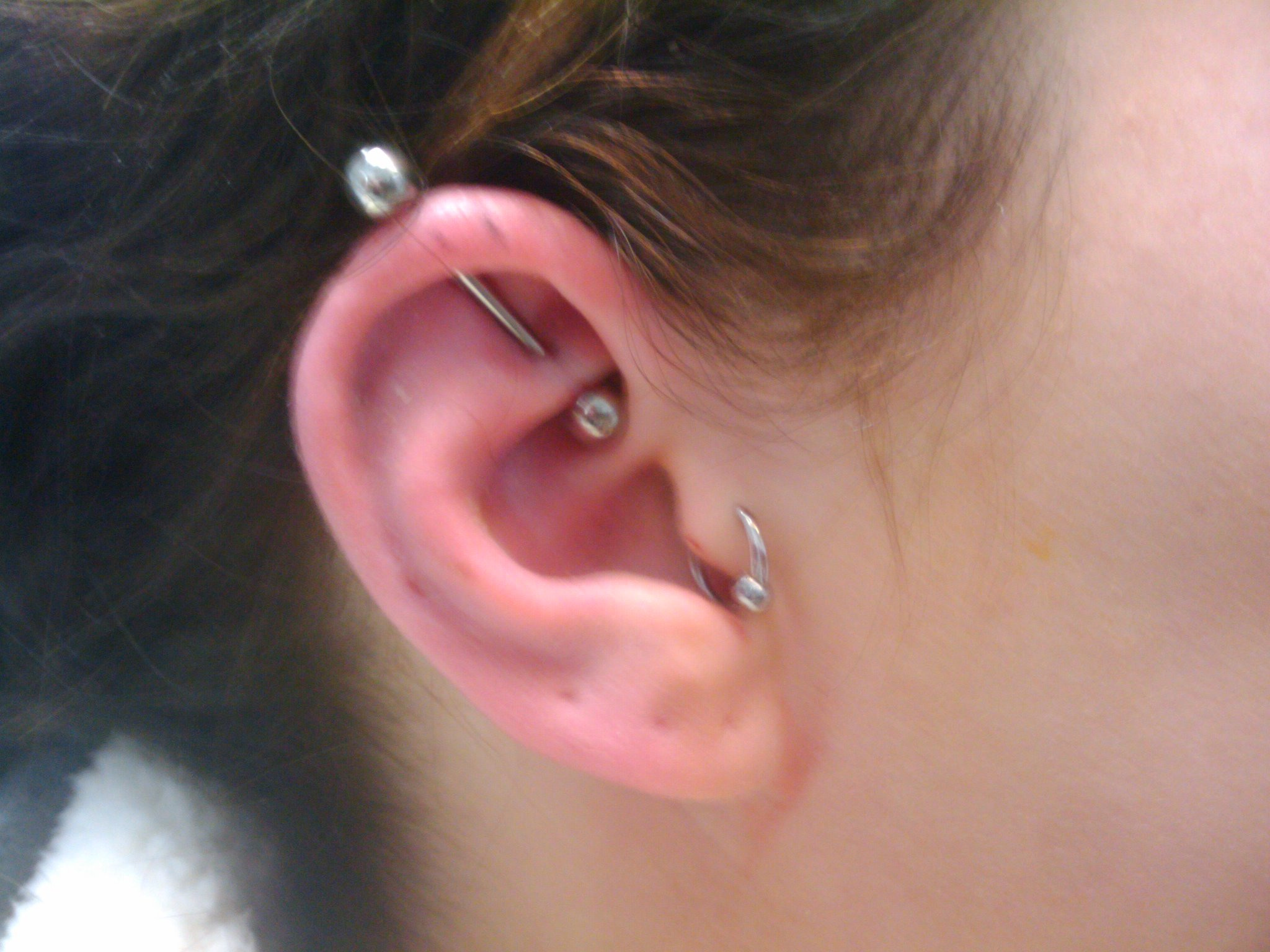 Gallery Primal Instinct Body Piercing School