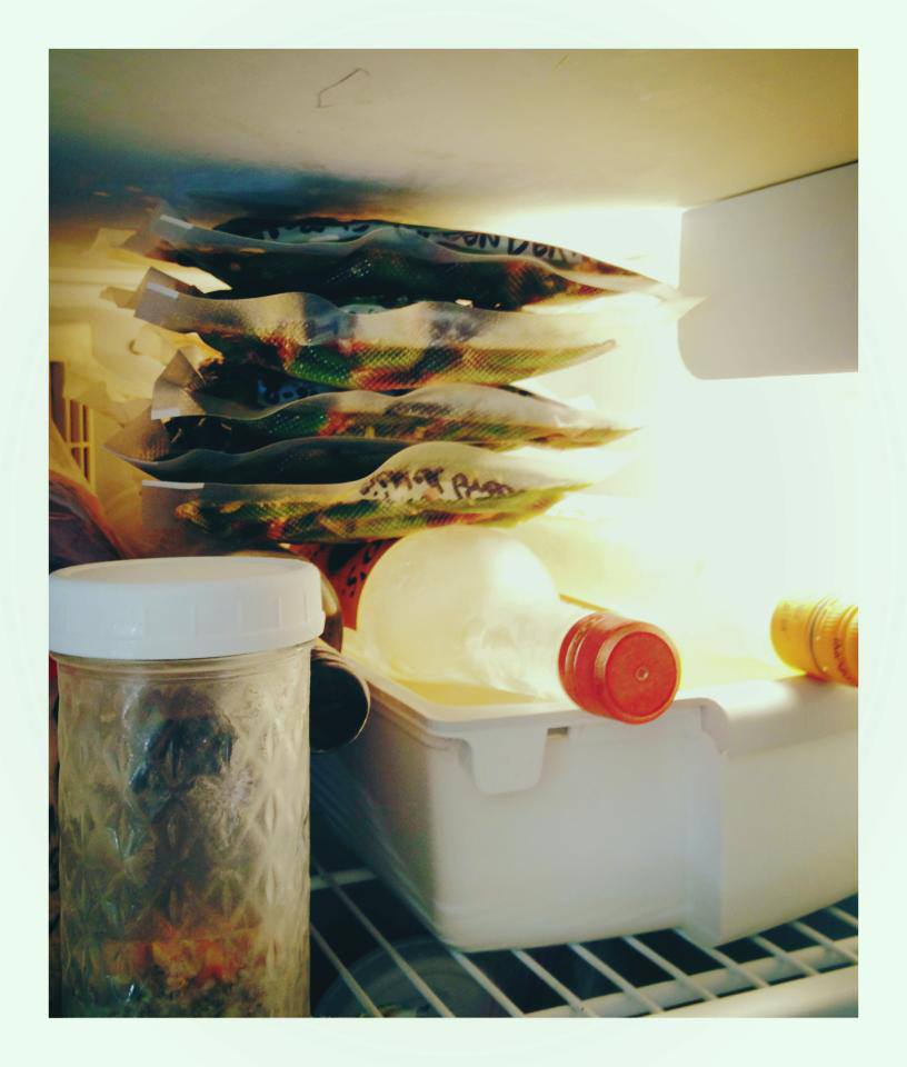 Vacuumsealing Freezer Pickles with my FoodSaver The Art of