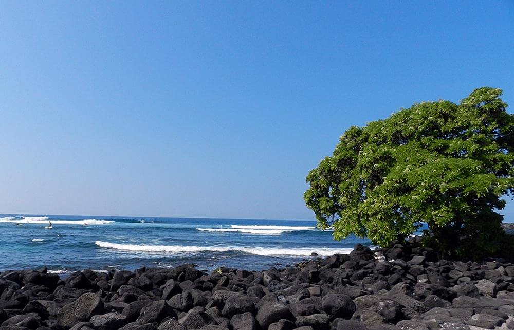 Big Island Surf Lessons and Rentals in Kona Hawaii