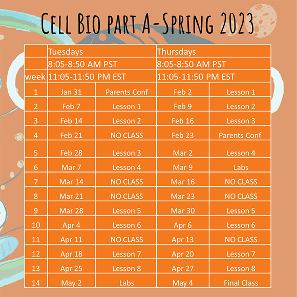 Best Homeschool High School Biology Easy Hard Science