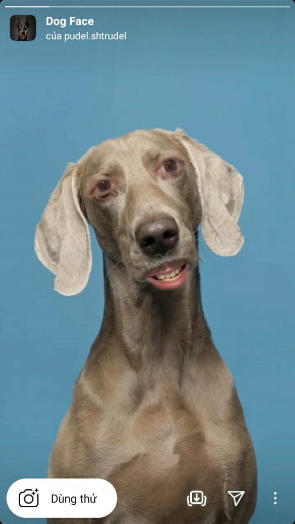 13 Filter Instagram Hài Hước Khiến Bạn Cười Sảng Quanh Năm