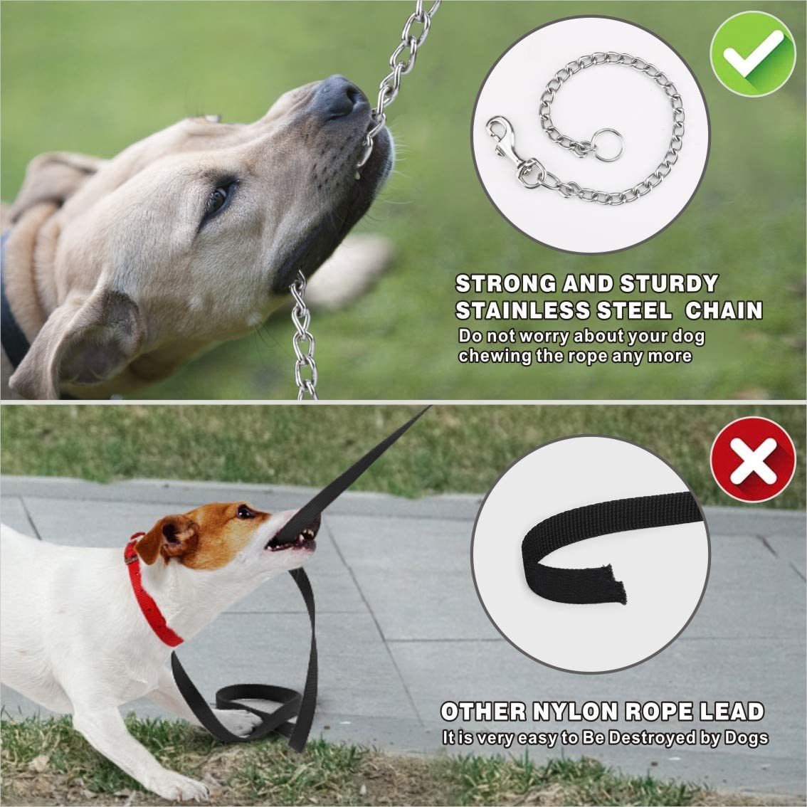 How To Stop Puppy Chewing On Leash at Valerie Gentry blog