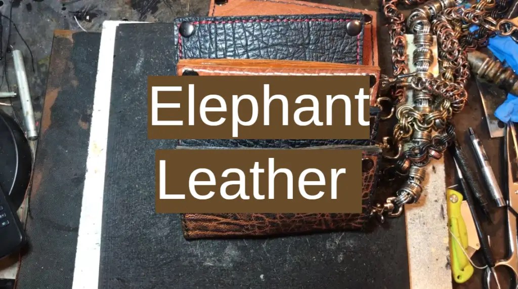 Elephant Leather Uses, Benefits, Care and Maintenance Leather Toolkits