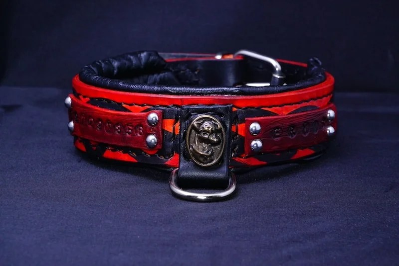 Jack Russell collar Leather for Pets