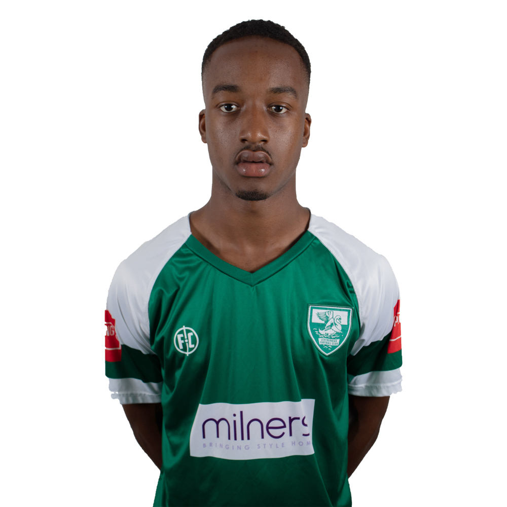 getting to know alpha