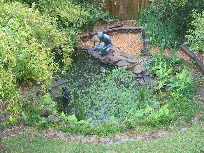 Leather Oaks Garden Spring 2009 Garden Photos, Page Three