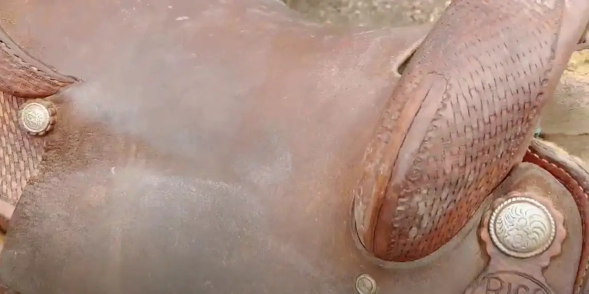 English Bridle Leather Definition, Uses, Care and Maintenance