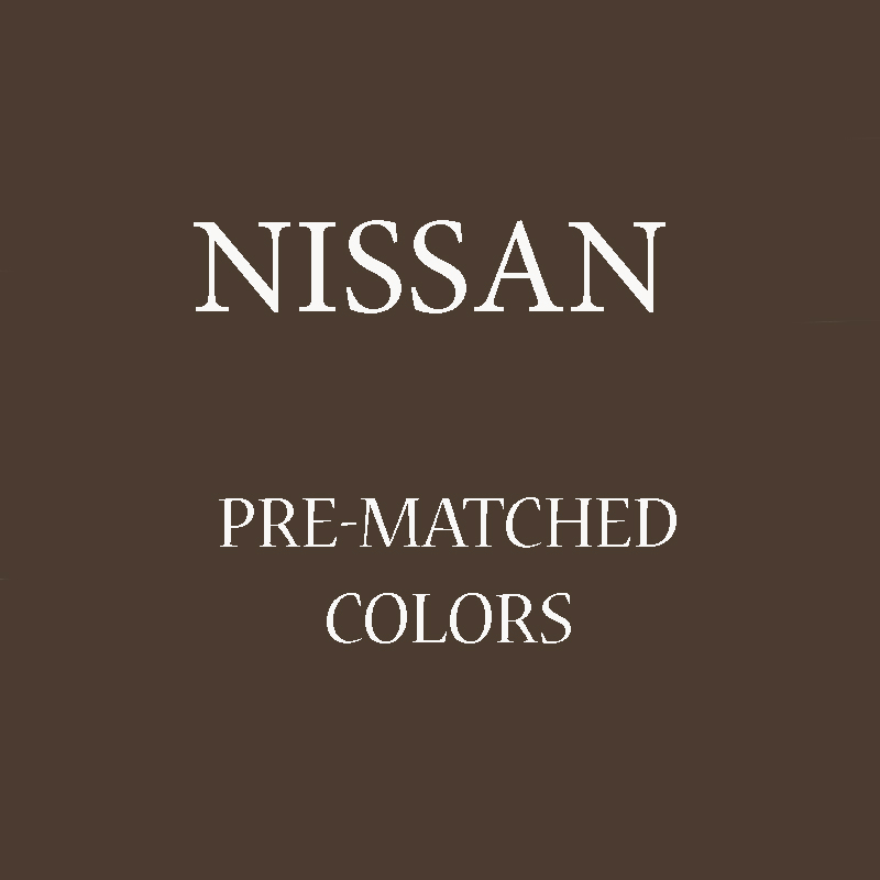 PreMatched Colors Nissan 13PMC100 Leather Refinishing