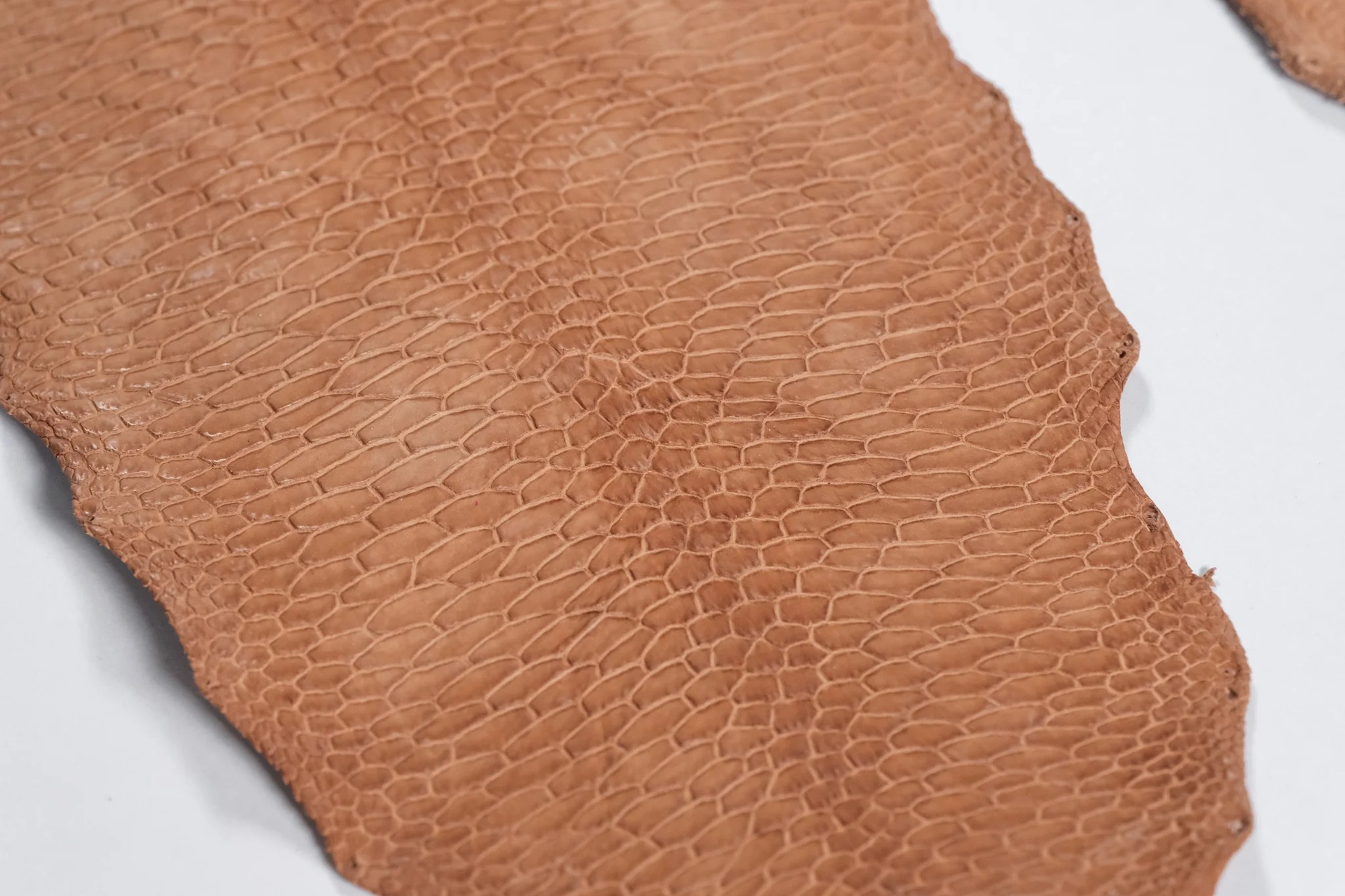 Beaver Tail Vegetable Tanned Leather Hand and Sew Leather