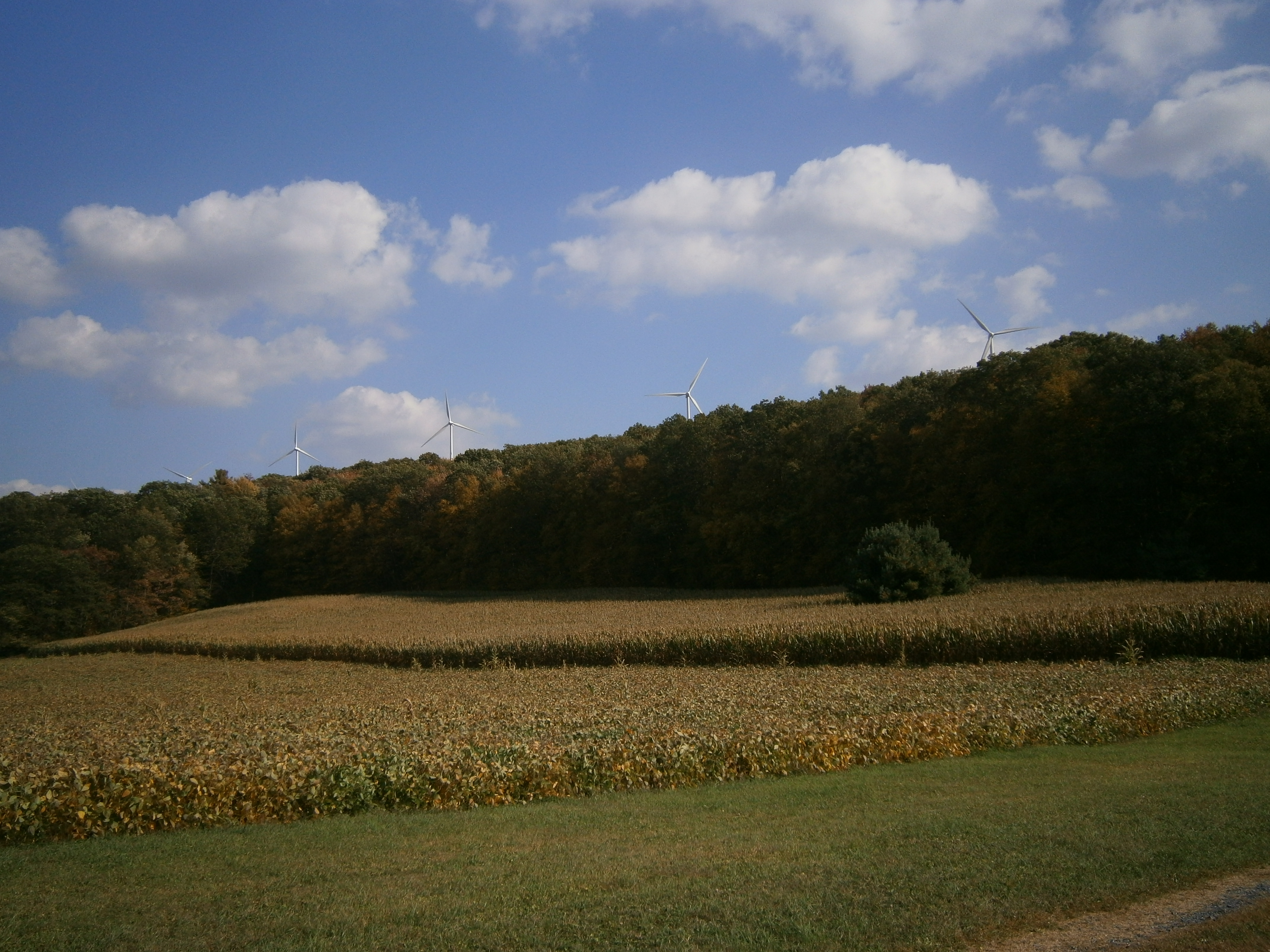 For Sale125 Acres Land Pennsylvania Farmland Hunting Fishing Awesome New Gift Ideas