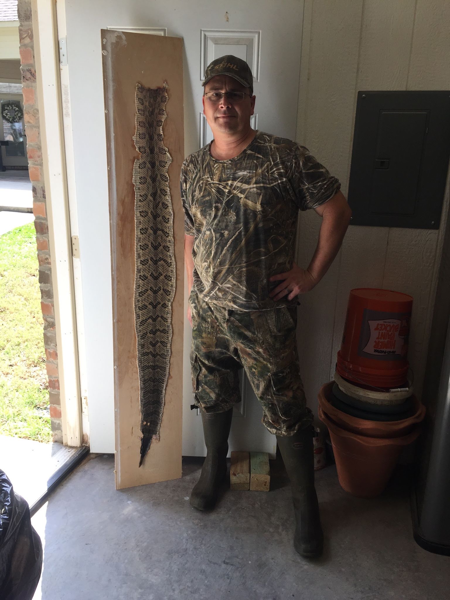 Snakeskin Tanning at Cole Hotchkiss blog