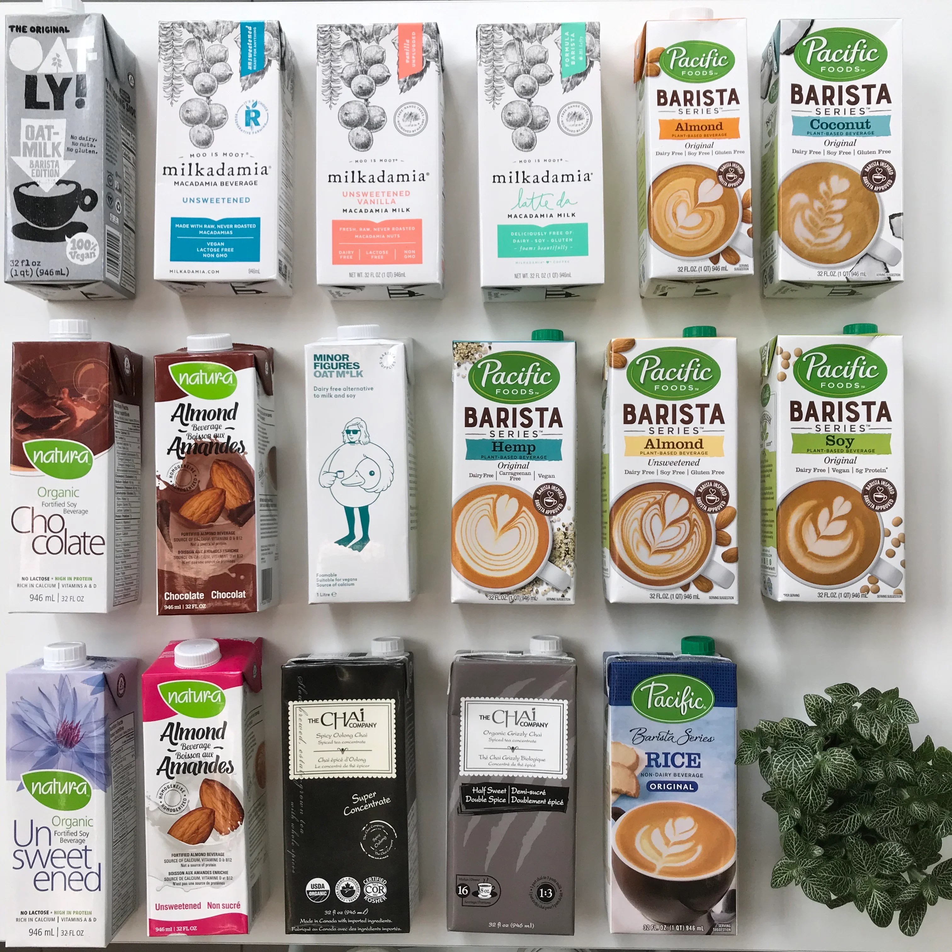 What PlantBased Milk Options are Available at Leaves House?