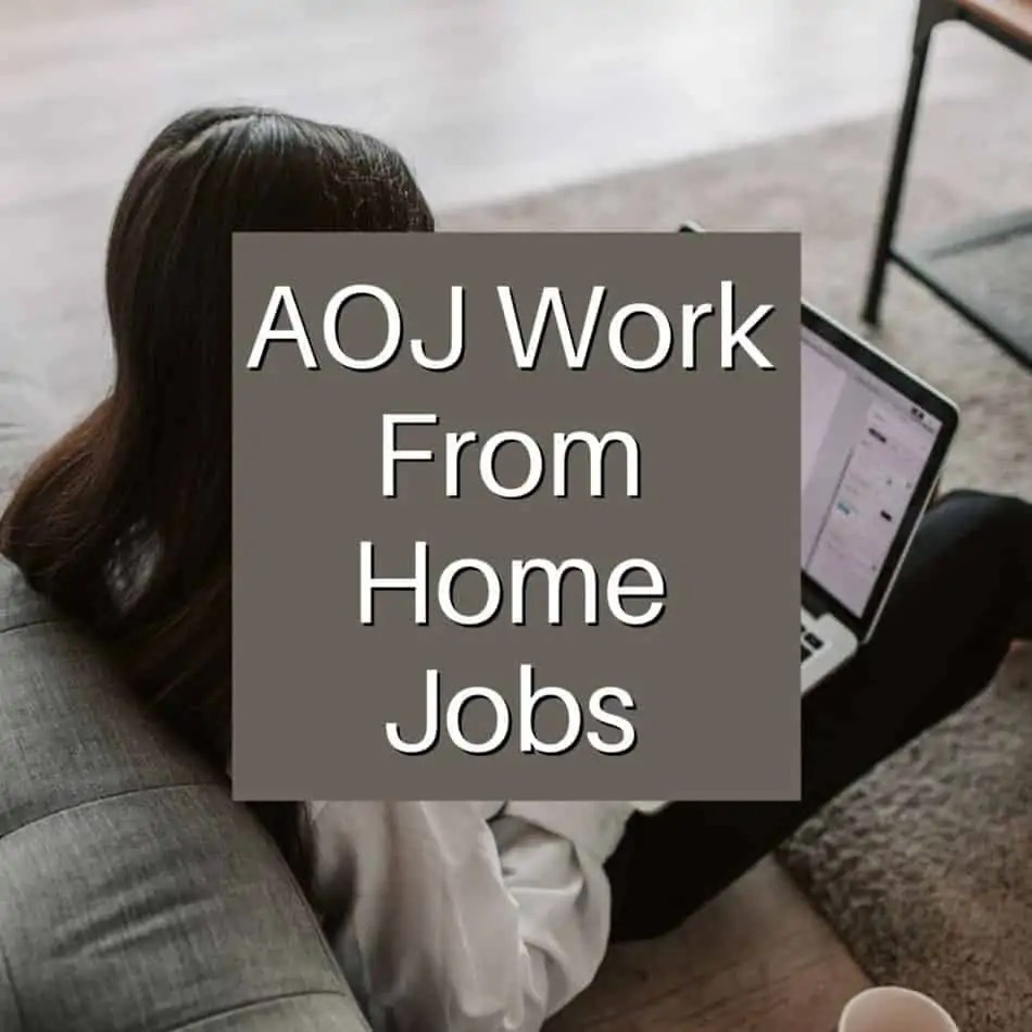 AOJ Work From Home Jobs Review Leave Your 95