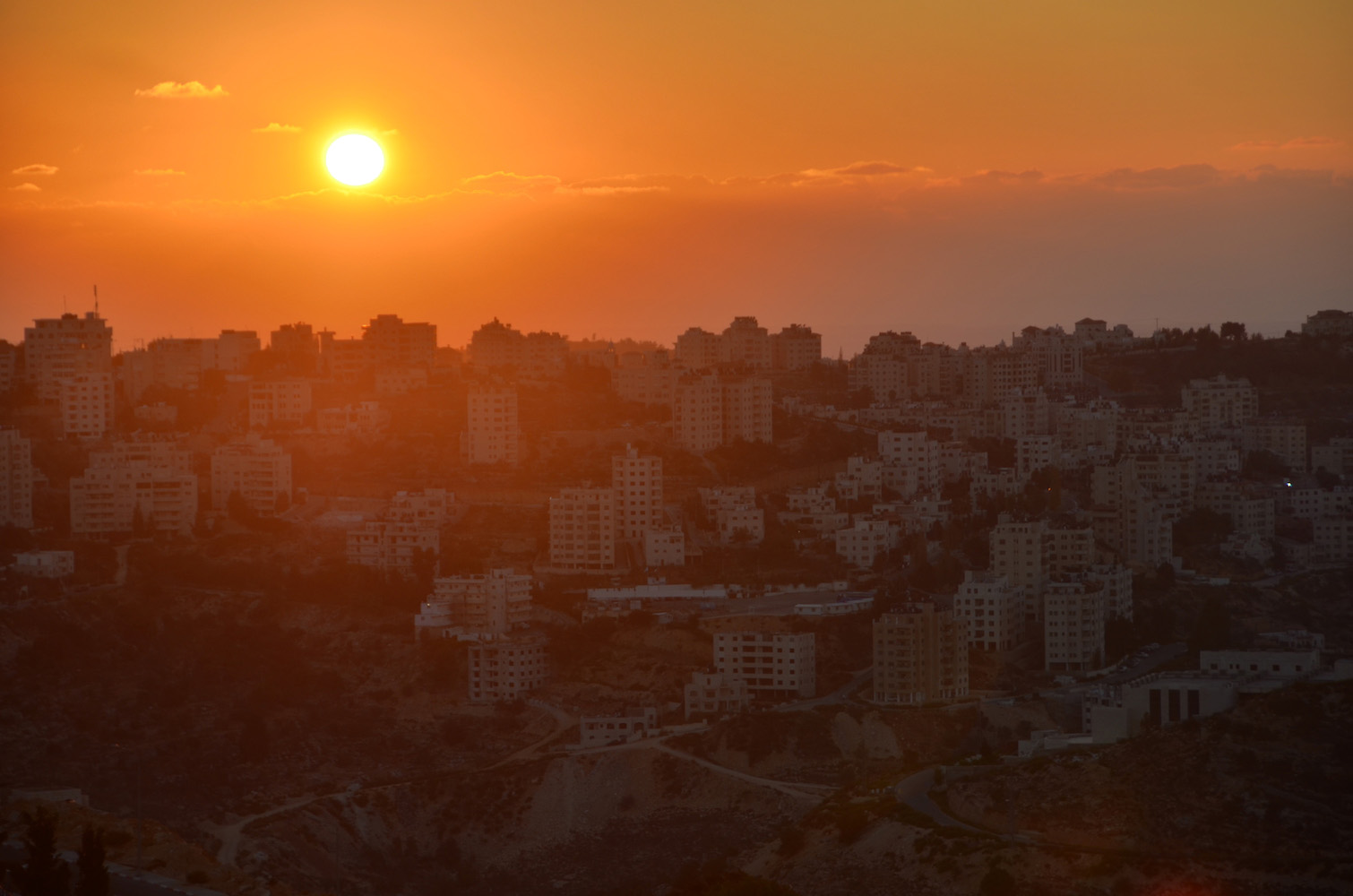 Can You Travel to Palestine Independently?