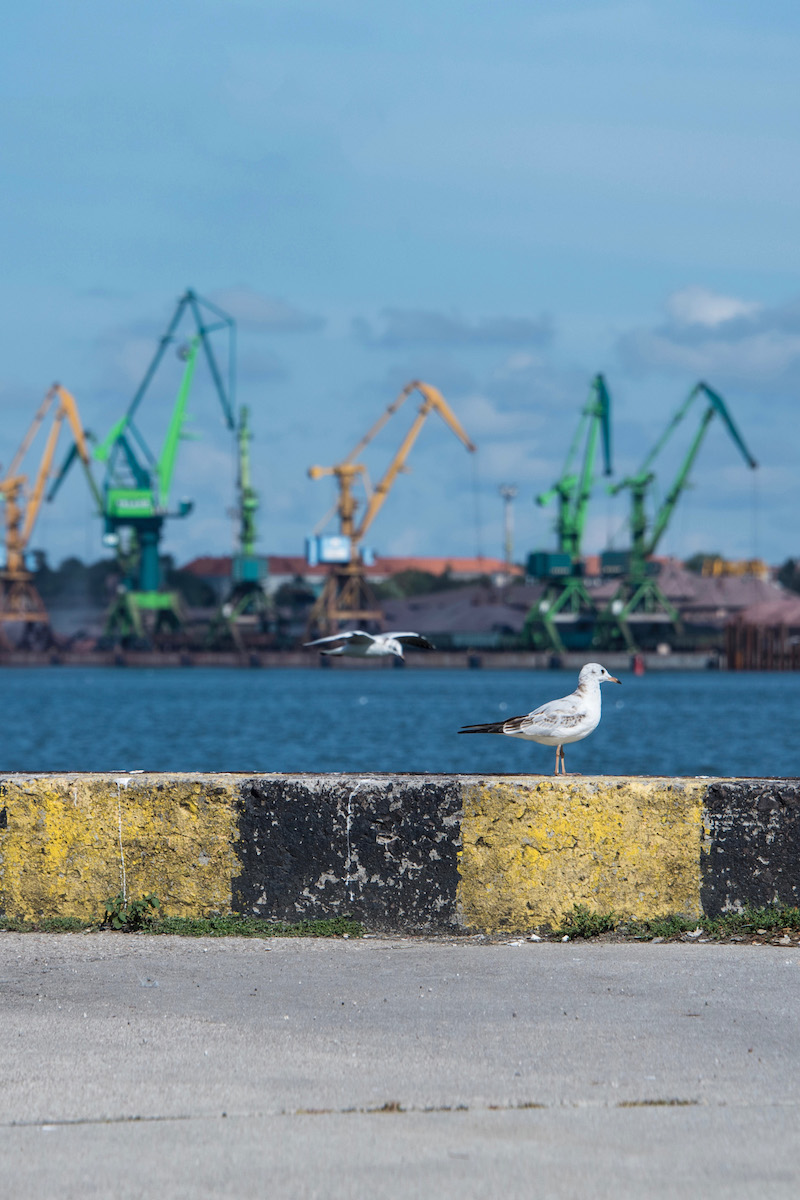 30 Pictures That Will Inspire Your Baltics Travel