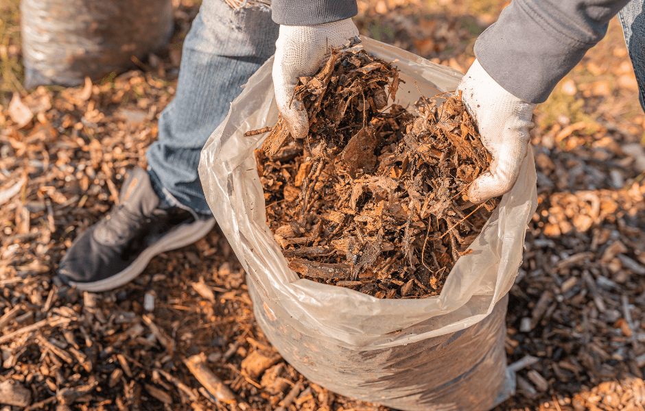 Understanding Soil Health and How to Improve It at Home Leaving A Legacy