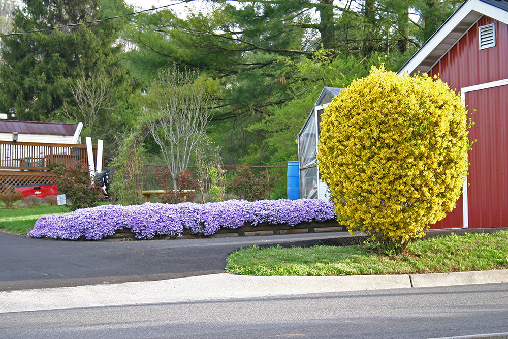 The Town of Lebanon Virginia