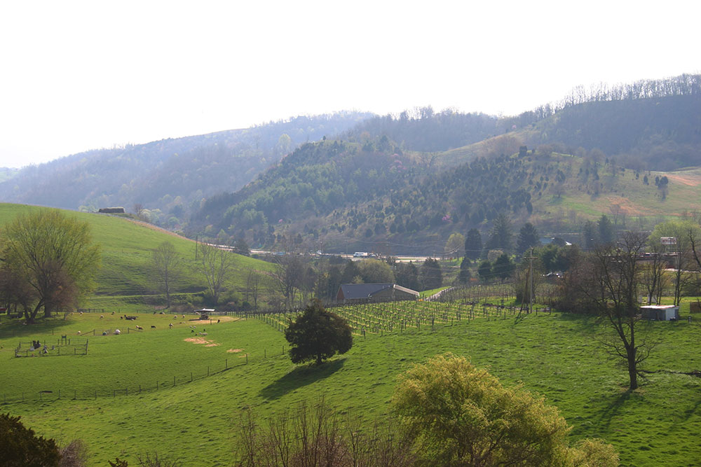 Photo Gallery The Town of Lebanon Virginia