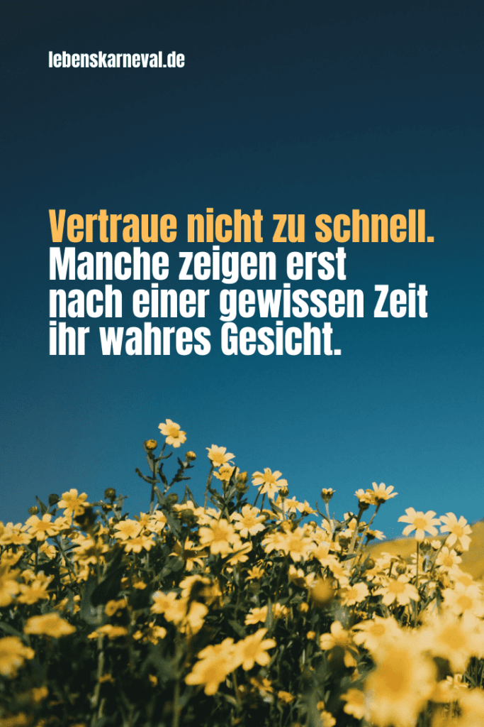 Vertrauen Sprüche: Alles Ist Vertrauenssache - Lebens Karneval 1024_x_683_png