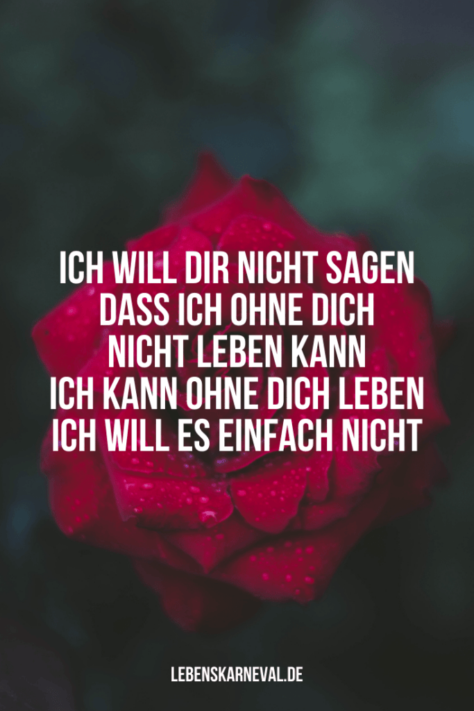 Liebessprüche Für Ihn: Zeigen Sie Ihre Liebe! - Lebens Karneval 1024_x_683_png