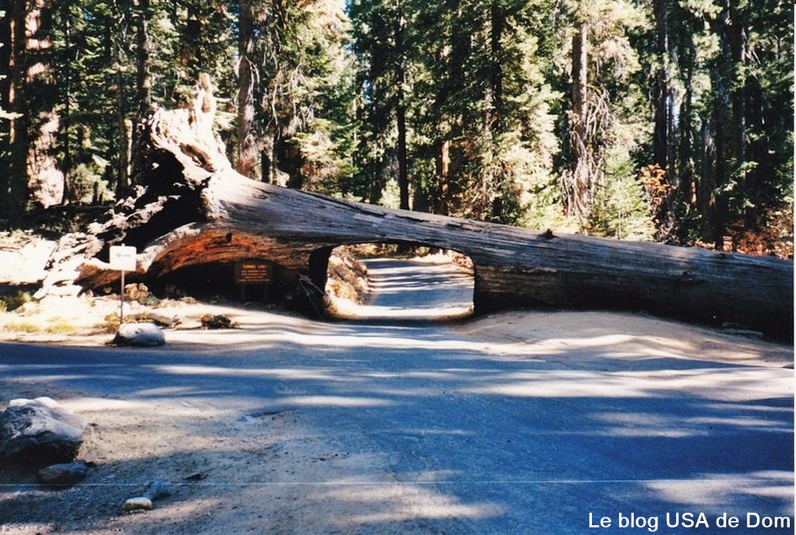 Hwy 395 Eastern Sierra Scenic Byway Road trip en CALIFORNIE
