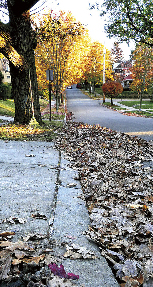 Leaves, Ice & Snow Mt Lebanon Magazine