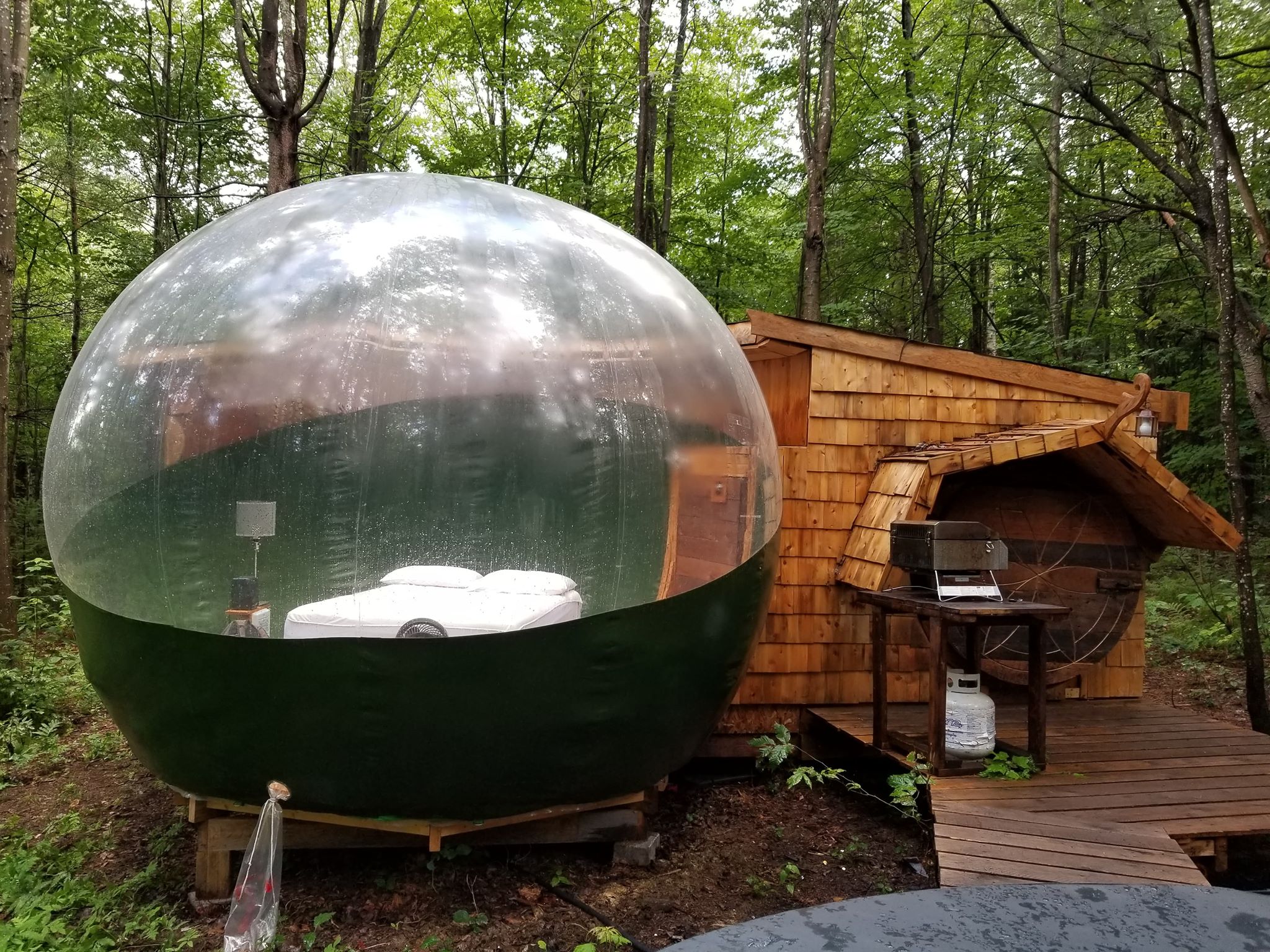 Dormir dans une bulle Le Cahier