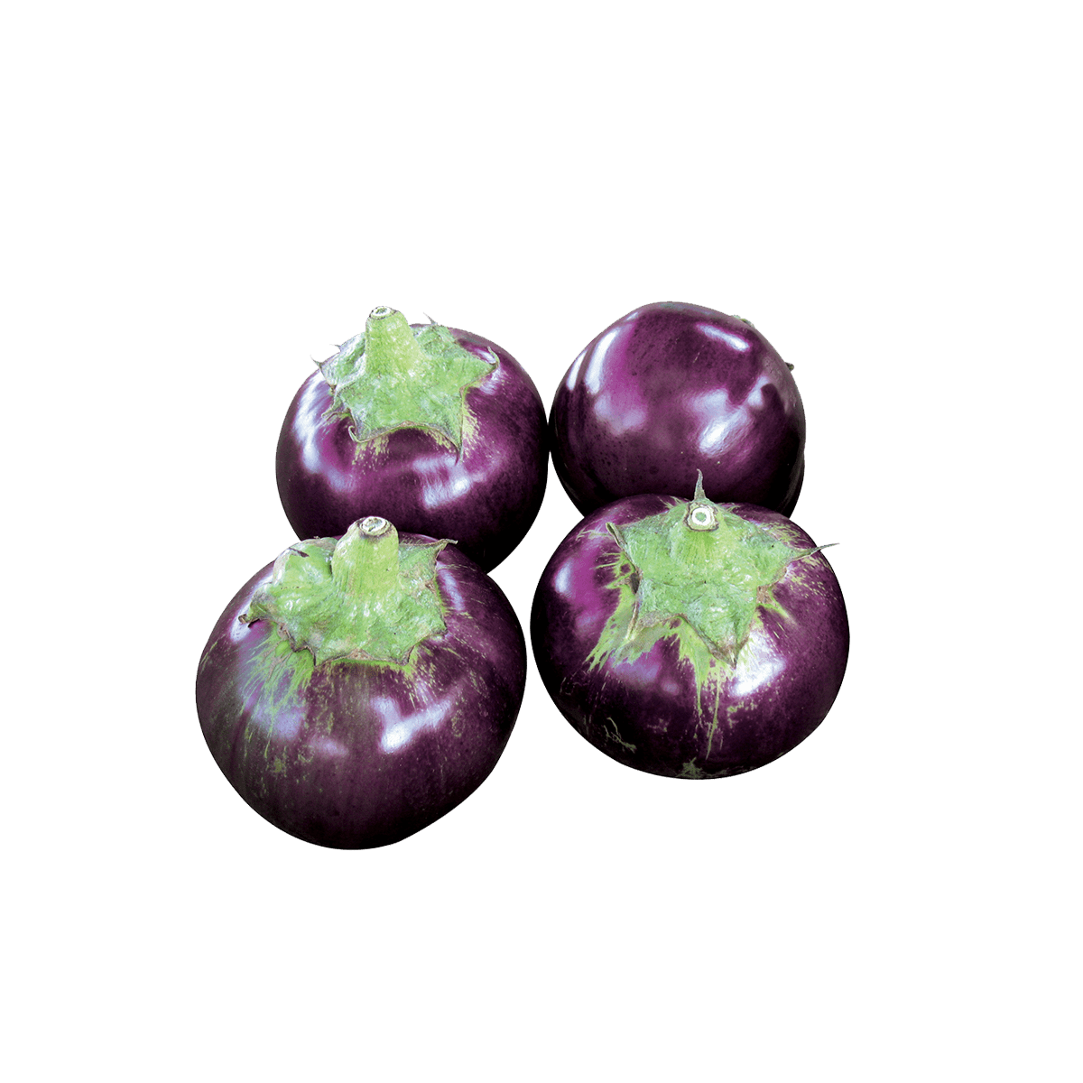 Eggplant Leckat Seeds