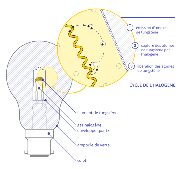Source et lampe histoire et type de lampes le guide de l'éclairage