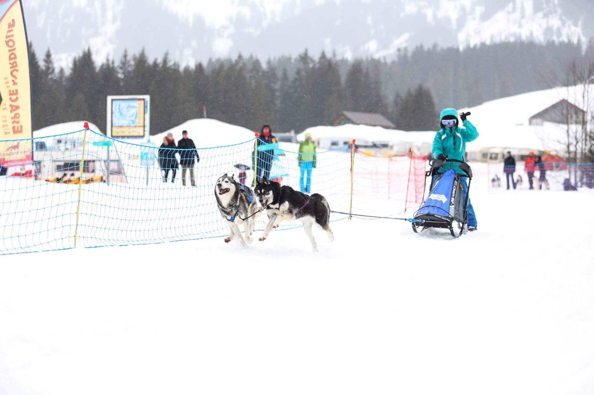 Course de chiens de traineaux des Mosses, en Suisse, les 5 et 6 mars